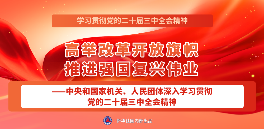 学习贯彻党的二十届三中全会精神,新华社播发系列报道