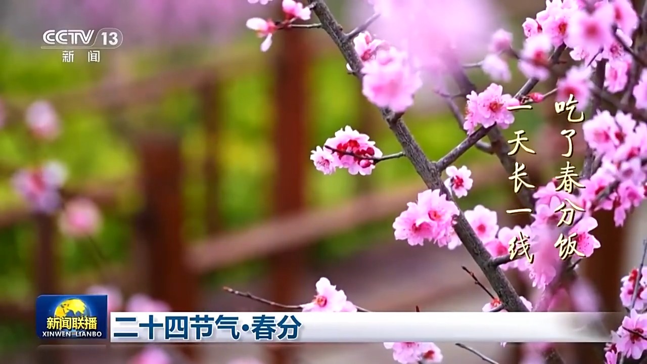 文化中国行丨二十四节气·春分 最是人间好时节 - 西部网(陕西新闻网)